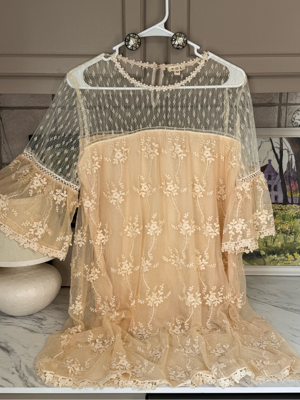 POL Sheer Floral Lace Overlay dress